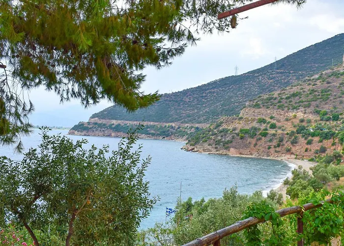 Muses Seaside アパートホテル